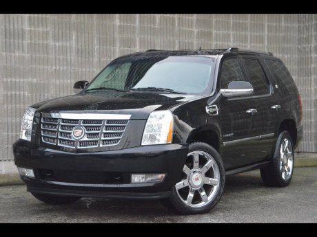 2011escalade.jpg